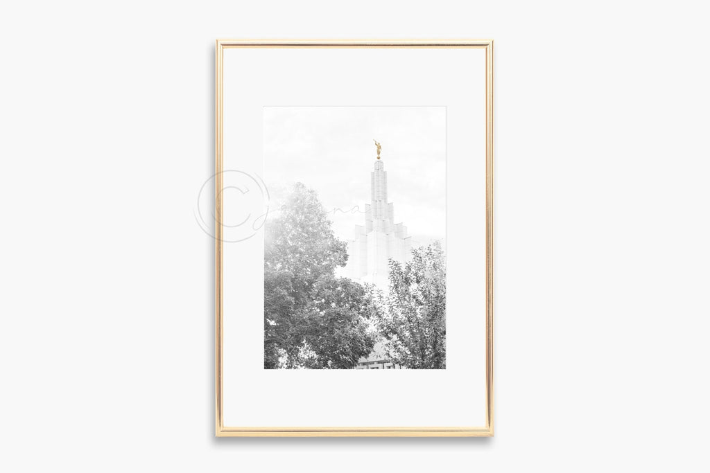 Idaho Falls Spire in Trees - Jesus is the Christ Prints