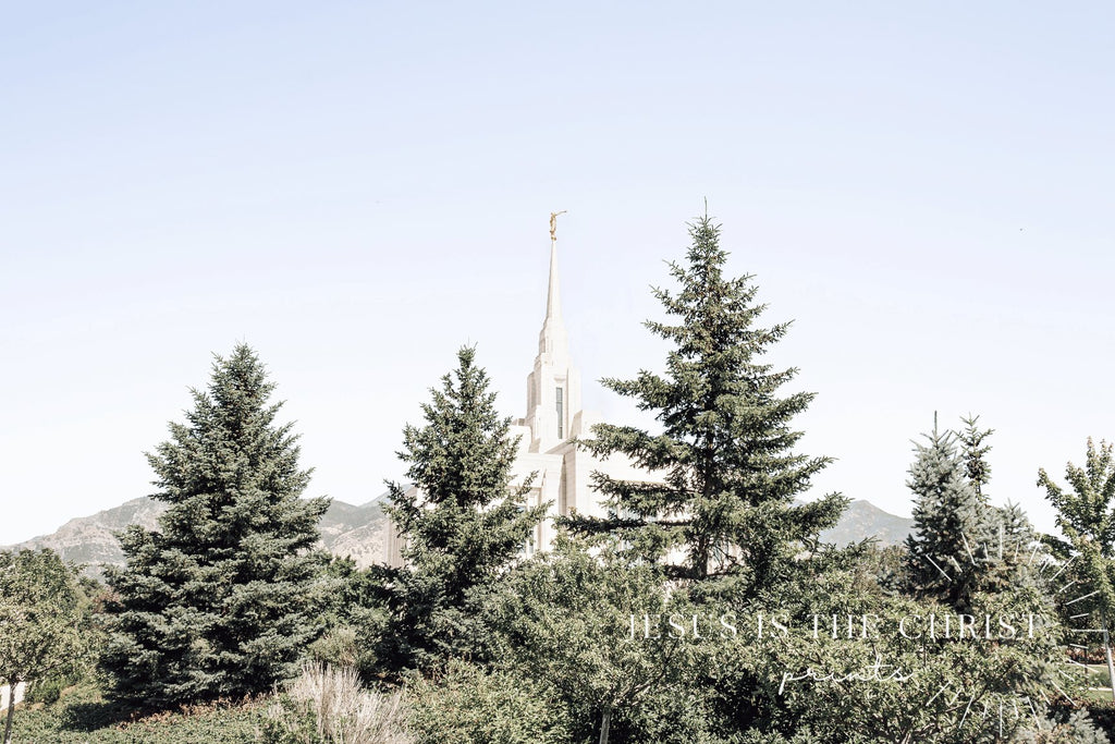 Ogden Utah Temple Trees - Jesus is the Christ Prints