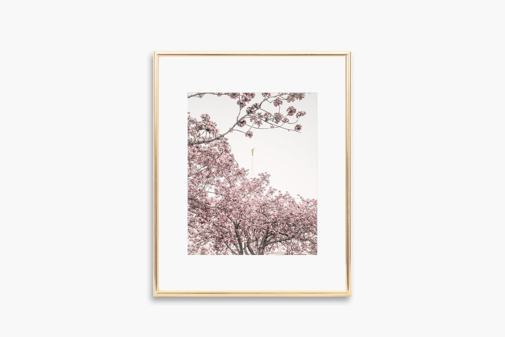 Seattle Temple Spire in Blossoms - Jesus is the Christ Prints