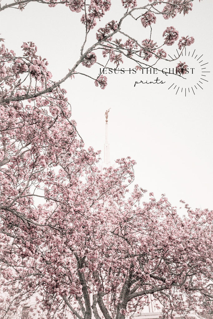 Seattle Temple Spire in Blossoms - Jesus is the Christ Prints